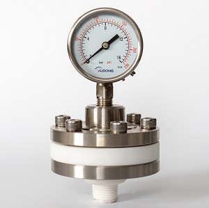 PTFE Diaphragm pressure gauge